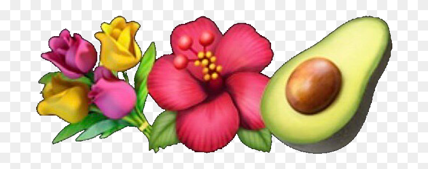 700x272 Descargar Png Emoji Emojis Emojicombo Guacamole Flor Flores Boquet Flor Artificial, Planta, Hibisco, Flor Hd Png