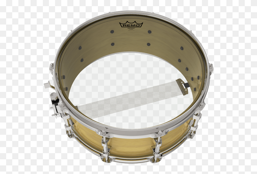 562x508 Emperor Clear Image Remo Clear Snare Drum Head, Percussion, Musical Instrument, Ring HD PNG Download