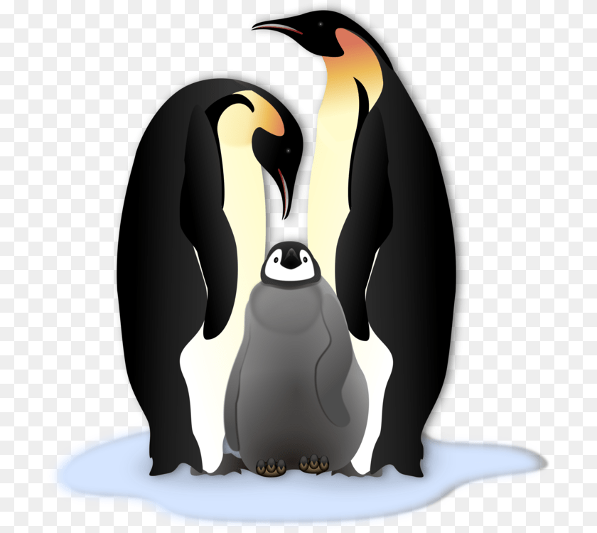 710x750 Emperor Penguin Clip Art, Animal, Bird, King Penguin Sticker PNG