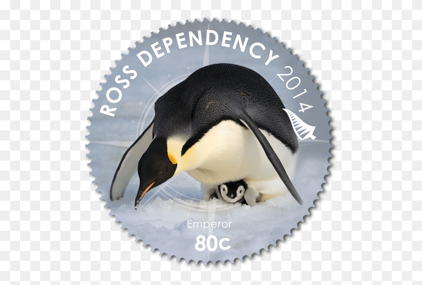508x508 Императорские Пингвины 1 40 Пингвинов Адли Марка Антарктиды, Пингвин, Птица, Животное Png Скачать