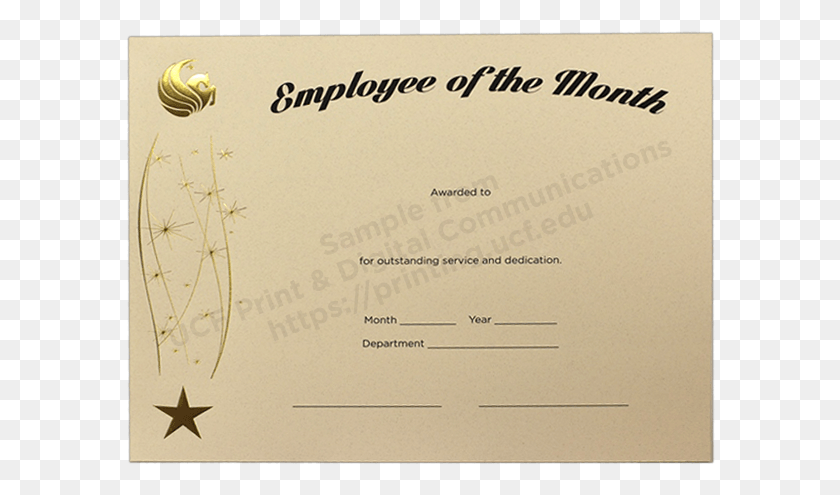 590x435 Employee Of The Month Award Certificate Template 84278 Envelope, Text, Diploma, Document HD PNG Download