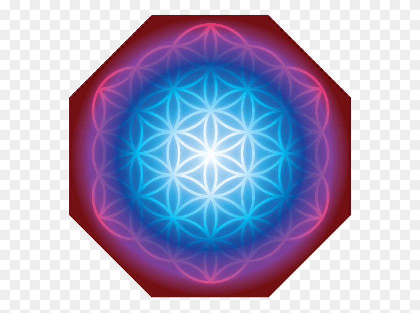 566x566 Empowering Sound Through Sacred Geometry Flower Of Life, Sphere, Pattern, Fractal HD PNG Download
