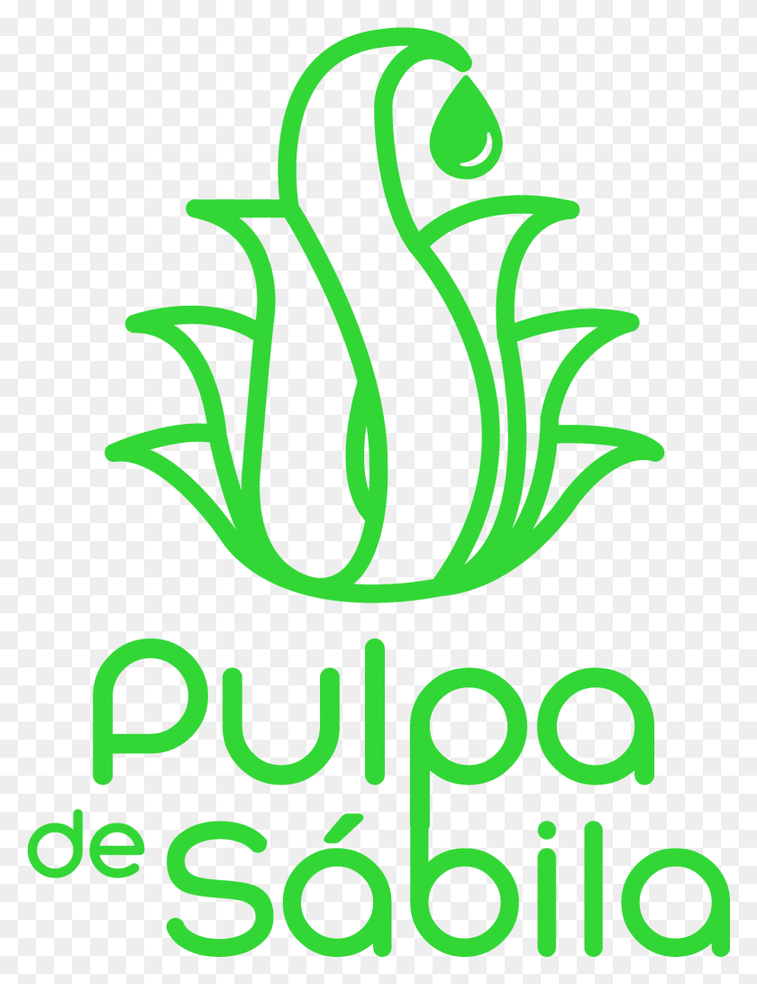1562x2066 En La Pulpa De Sbila Podemos Encontrar Vitaminas A, Текст, Растение, Графика Hd Png Скачать