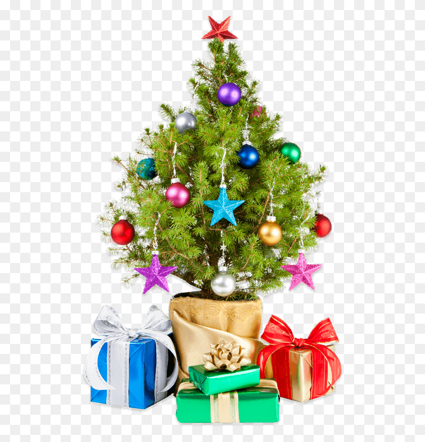 516x814 En Navidad Christmas Ornament, Christmas Tree, Tree, Ornament HD PNG Download
