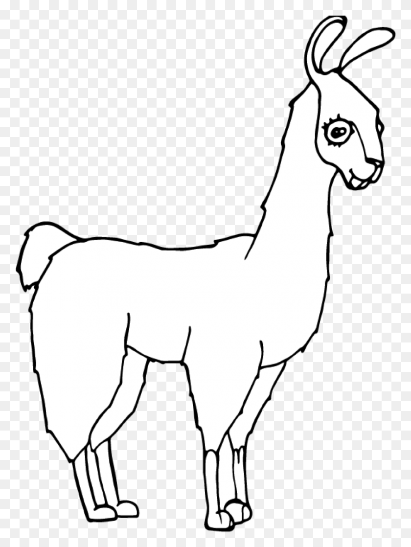 840x1140 Encourage Children To Add Details Showing What This Llama, Mammal, Animal, Person HD PNG Download