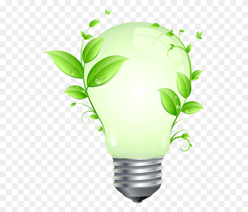 551x657 Energy Conservation, Light, Lightbulb, Green HD PNG Download