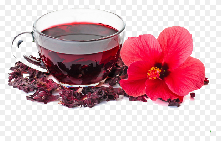 1416x868 Energy Vitality And Health Hibiscus Tea, Plant, Saucer, Pottery HD PNG Download