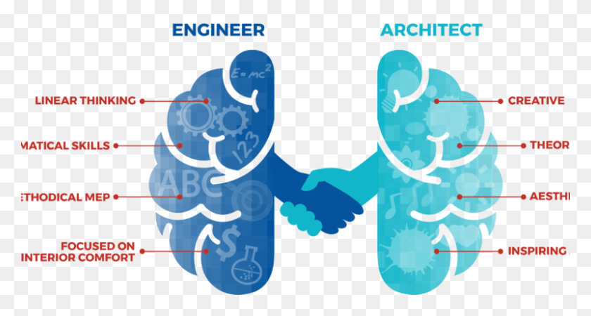 800x400 Engineer Brain Vs Architect Graphic Left Right Brain Illustration, Hand, Poster, Advertisement HD PNG Download
