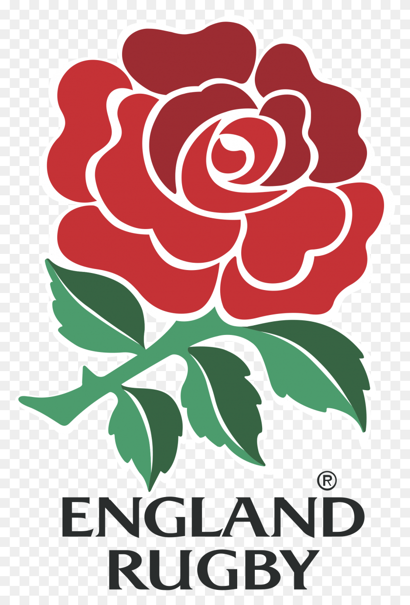 1449x2191 England Rugby Logo Transparent England Rugby Logo Vector, Graphics, Floral Design HD PNG Download