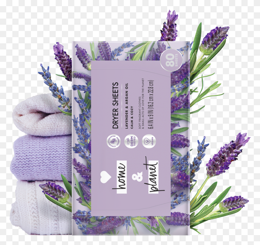 1476x1386 English Lavender, Plant, Flower, Blossom HD PNG Download