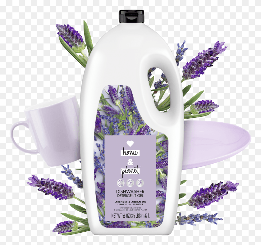 1486x1389 Английская Лаванда, Фиолетовый, Цветок, Растение Hd Png Скачать