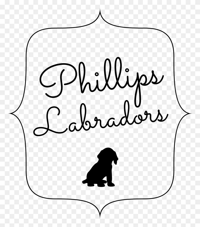 2096x2406 English White Labradors Y Not, Text, Handwriting, Calligraphy HD PNG Download