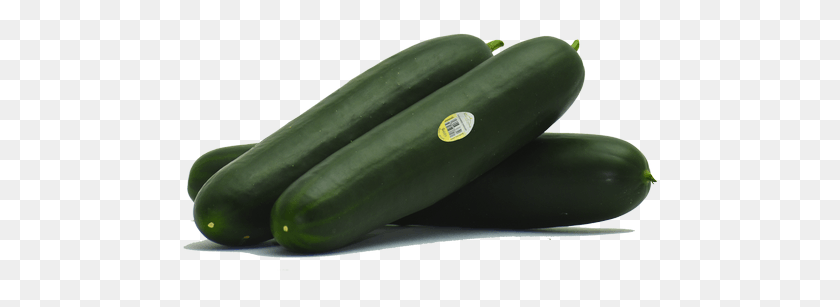 479x247 English Zucchini, Plant, Vegetable, Food HD PNG Download