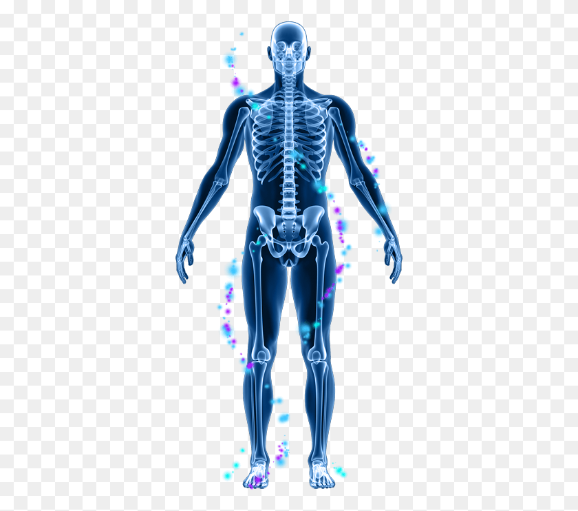 331x682 Enjoy A 30 Day Money Back Guarantee On All Prolon Purchases Human Body Xray, Person, Human, X-ray HD PNG Download
