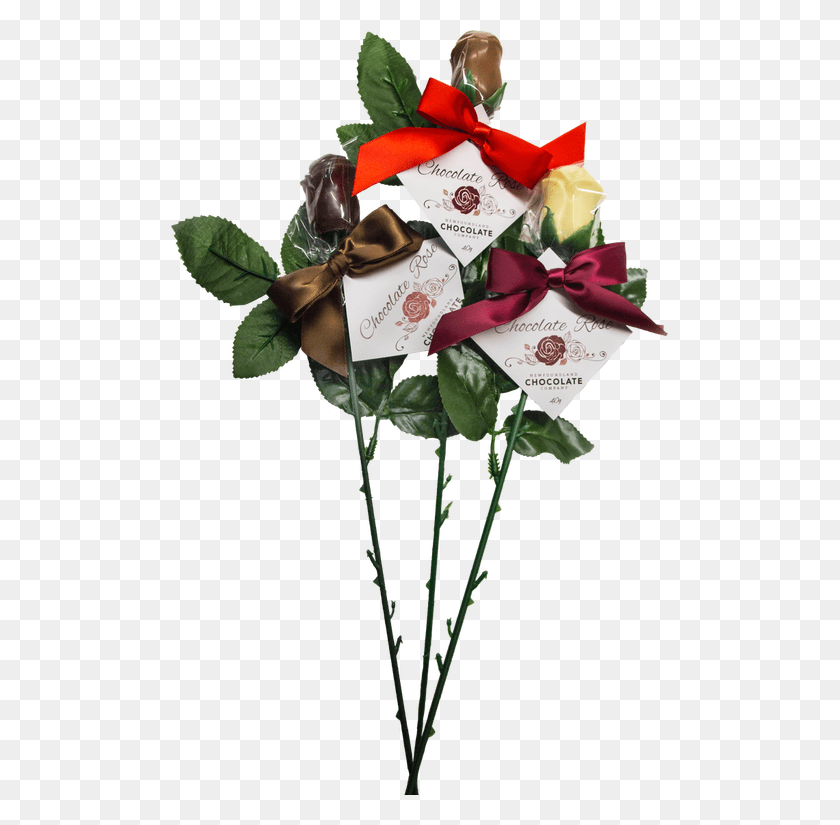 497x765 Наслаждайтесь Букетом Из Шести Шоколадных Роз На Длинных Стеблях Садовые Розы, Растение, Цветок, Цветение Png Скачать