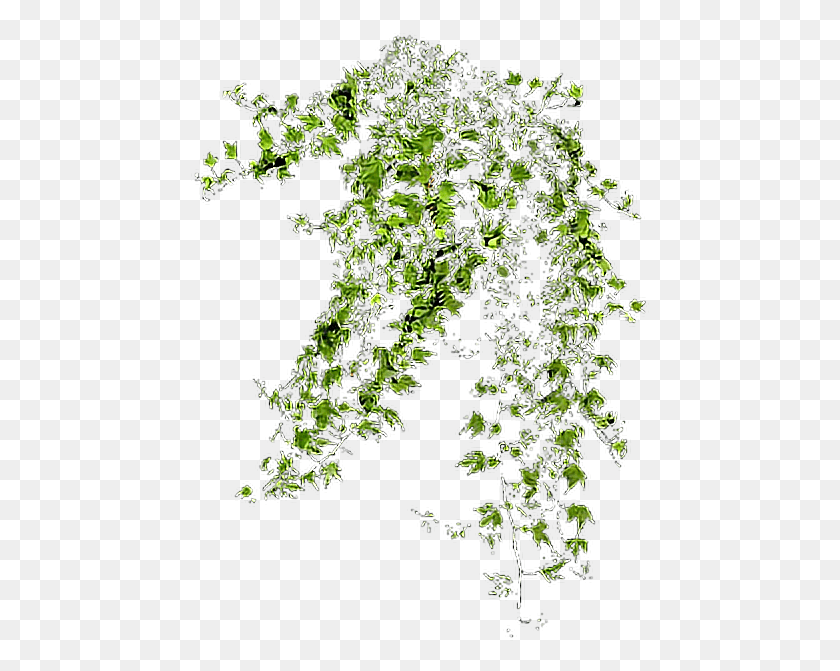 462x611 Наклейка Enredadera Rampicante, Растение, Цветочный Дизайн, Узор Hd Png Скачать