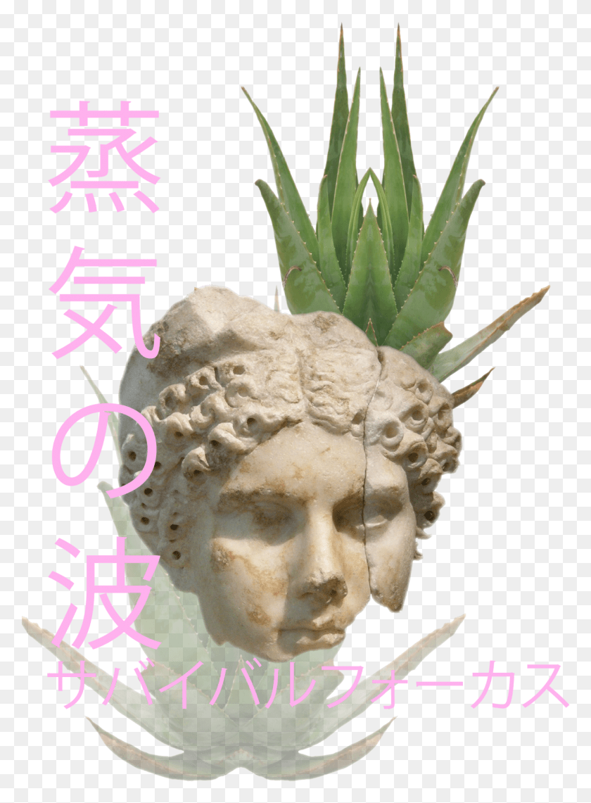 1267x1756 Ensombrar Transparent Aloe Aloe Vera Statue Japan Japanese Mask, Plant, Potted Plant, Vase HD PNG Download
