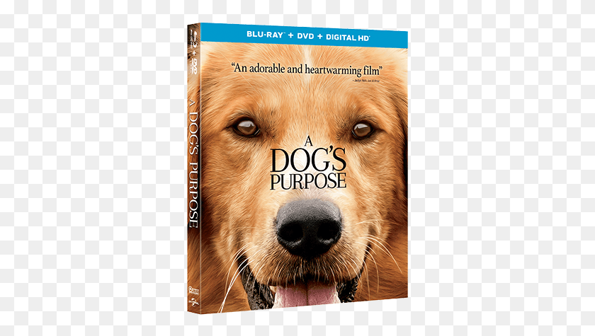 313x415 Enter To Win A Dog39s Purpose On Blu Ray Dog39s Purpose Movie Poster, Golden Retriever, Dog, Pet HD PNG Download