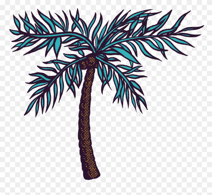 986x898 Окружающая Среда Attalea Speciosa, Пальма, Дерево, Растение Hd Png Скачать