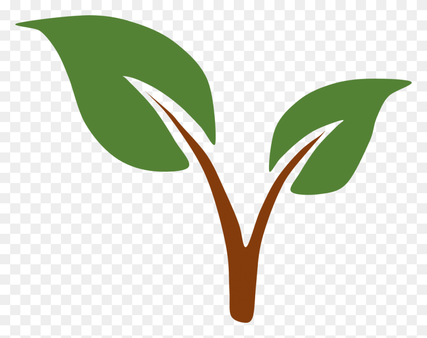 1094x849 Окружающая Среда Утром Картинки Клип Арт, Растение, Зеленый, Лист Hd Png Скачать
