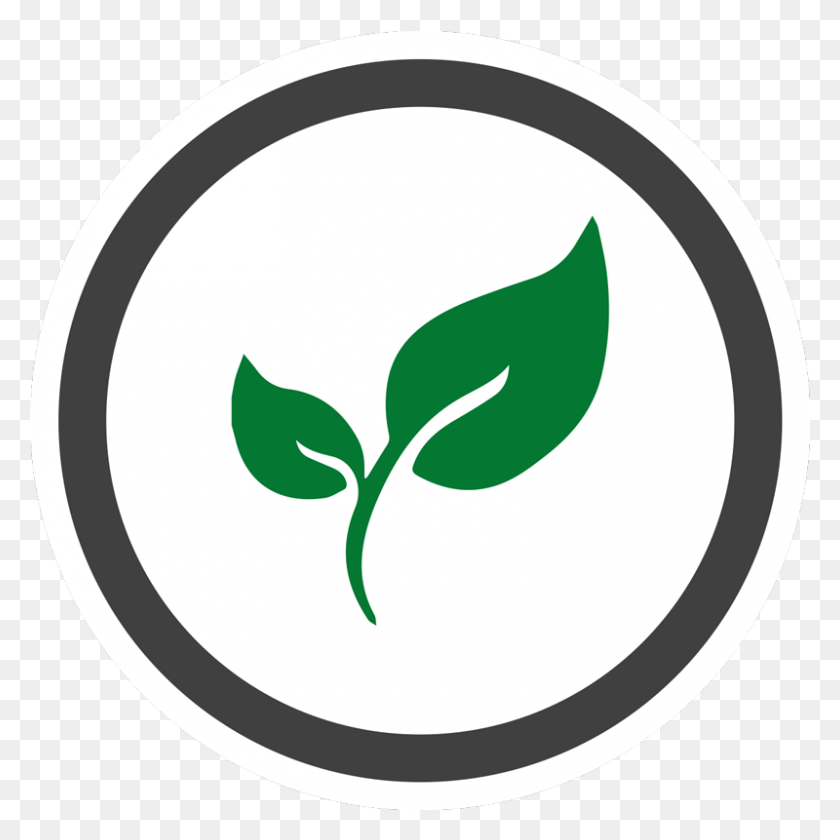 800x800 Environmental Stewardship Graphic Design, Plant, Symbol, Logo Descargar Hd Png