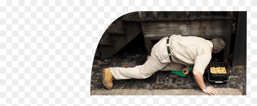 950x350 Environmentally Friendly Pest Control Arch, Person, Human, Shoe HD PNG Download