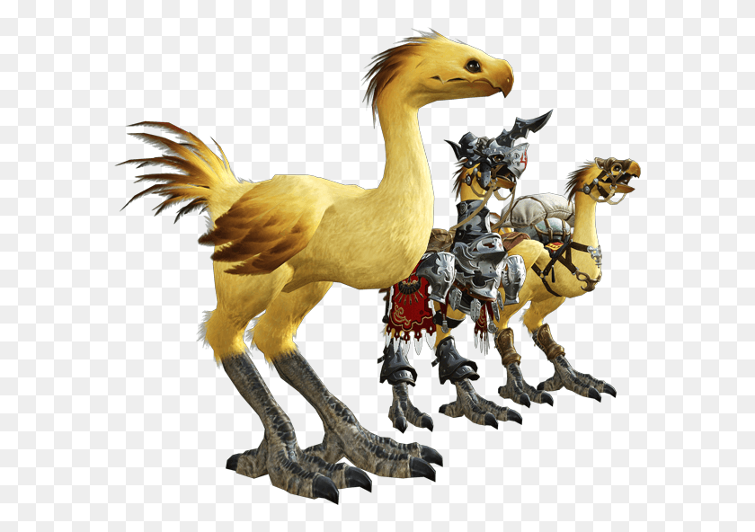 586x532 Eorzea De Chocobo For Piano Solo From Final Fantasy Ffxiv Chocobo, Chicken, Poultry, Fowl HD PNG Download