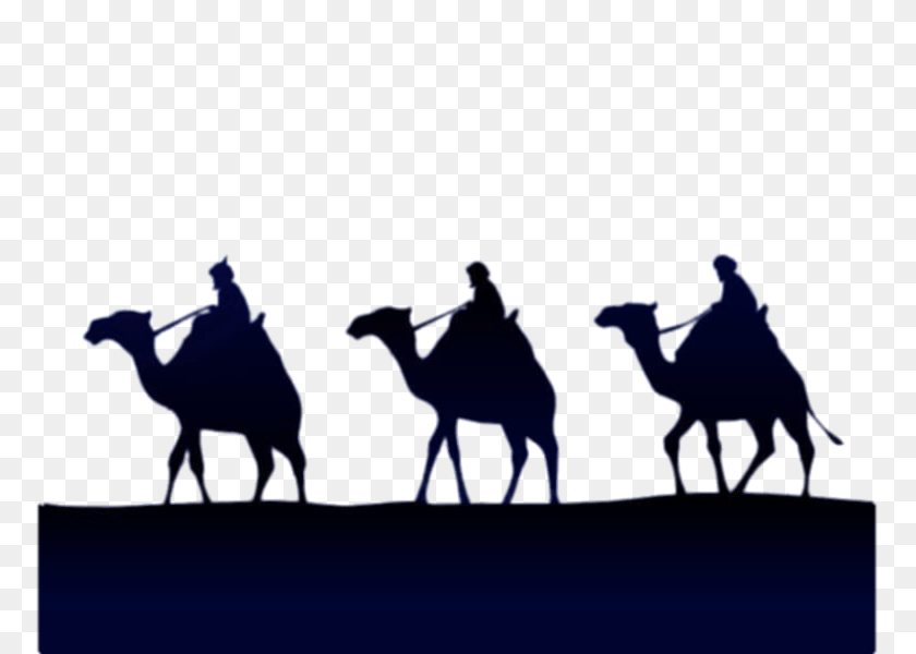 800x600 Epiphany Three Kings On A Camel, Animal, Mammal, Horse, Adult Clipart PNG