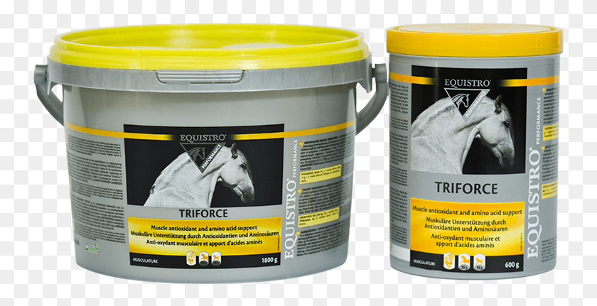 748x371 Equistro Triforce Triforce Equistro, Paint Container, Person, Human HD PNG Download