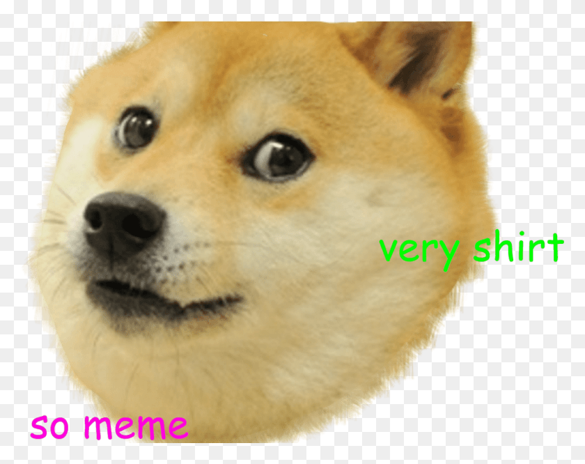 1100x856 Erevos Doge Shibe Shiba Inu Meme Design Doge Com Fundo Transparente, Морда, Собака, Млекопитающее Png Скачать