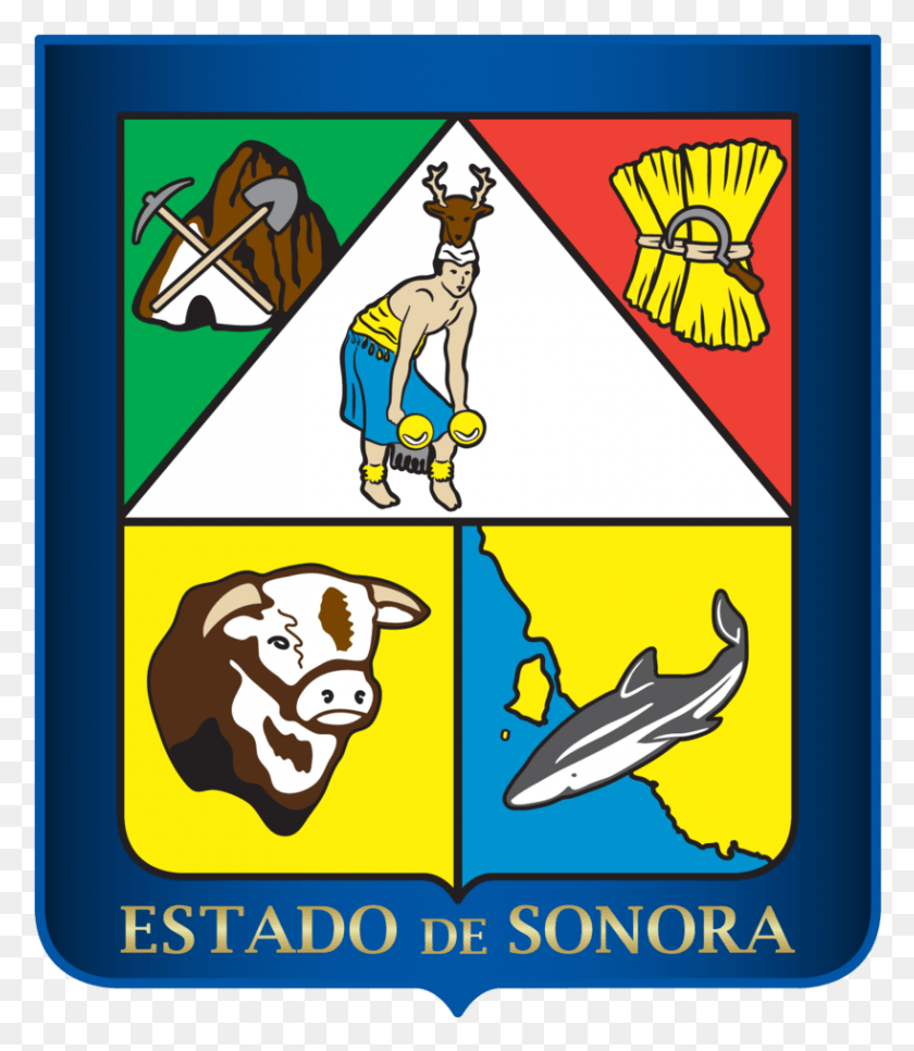 818x951 Escudo De Armas Sonora, Pájaro, Animal, Persona Hd Png