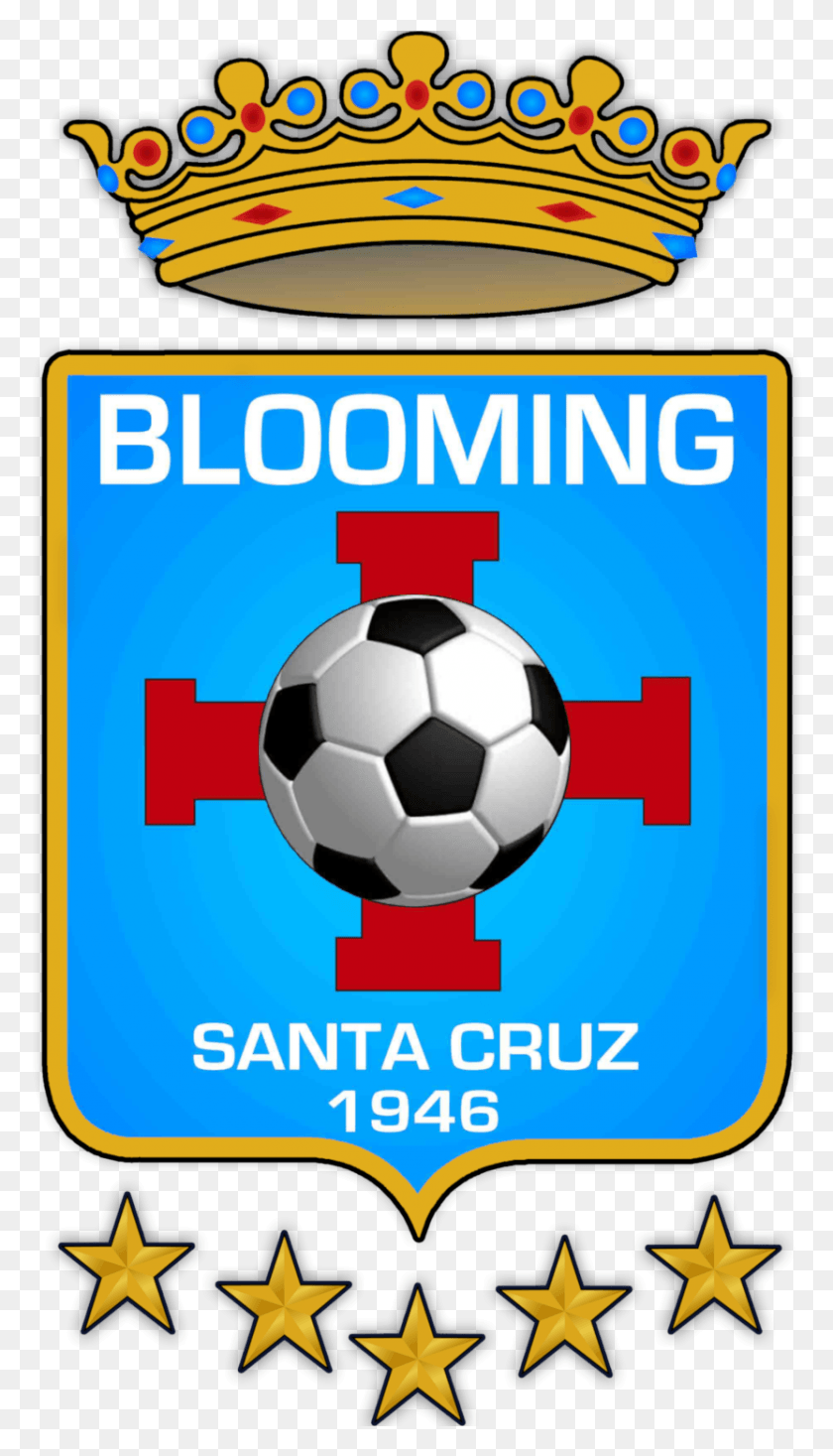 832x1501 Escudo De Blooming Png / Balón De Fútbol Hd Png