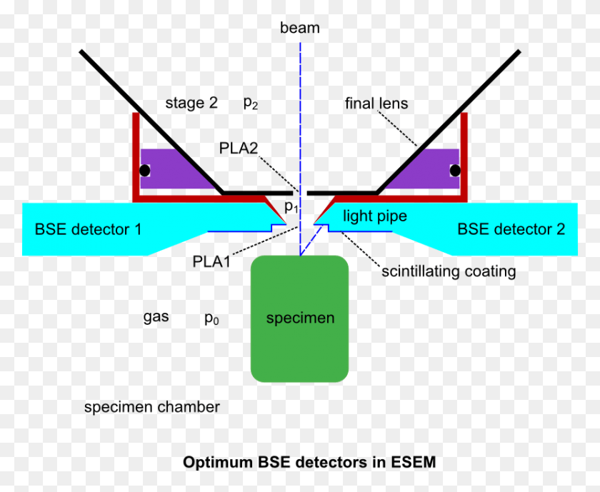 833x672 Esem Bse Bse And Se Detectors, Triangle, Diagram, Plot HD PNG Download