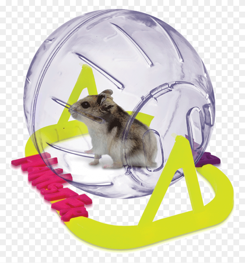 914x986 Esfera Hamster Ball Small 13cm De Diametro Hamster Chines, Helmet, Clothing, Apparel HD PNG Download
