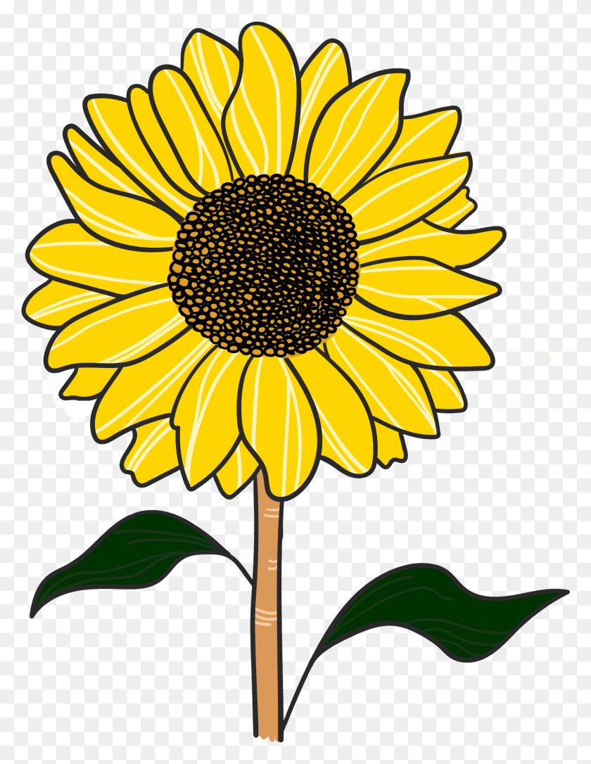 Sunflower Clipart.