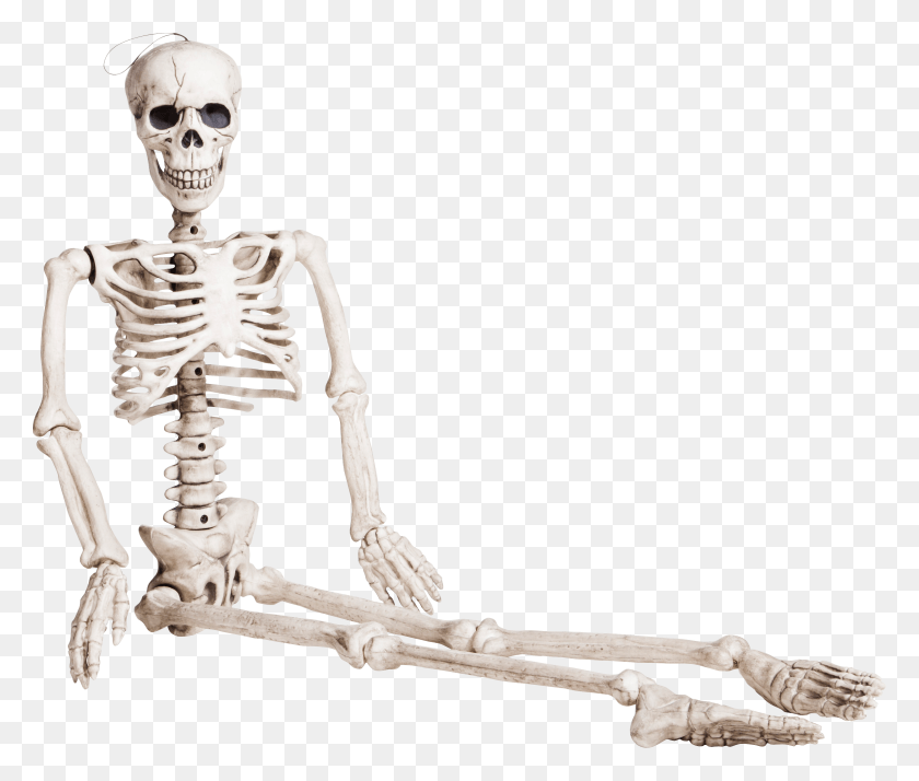 3125x2622 Esqueleto Sentado Animado, Skeleton, Sunglasses, Accessories HD PNG Download