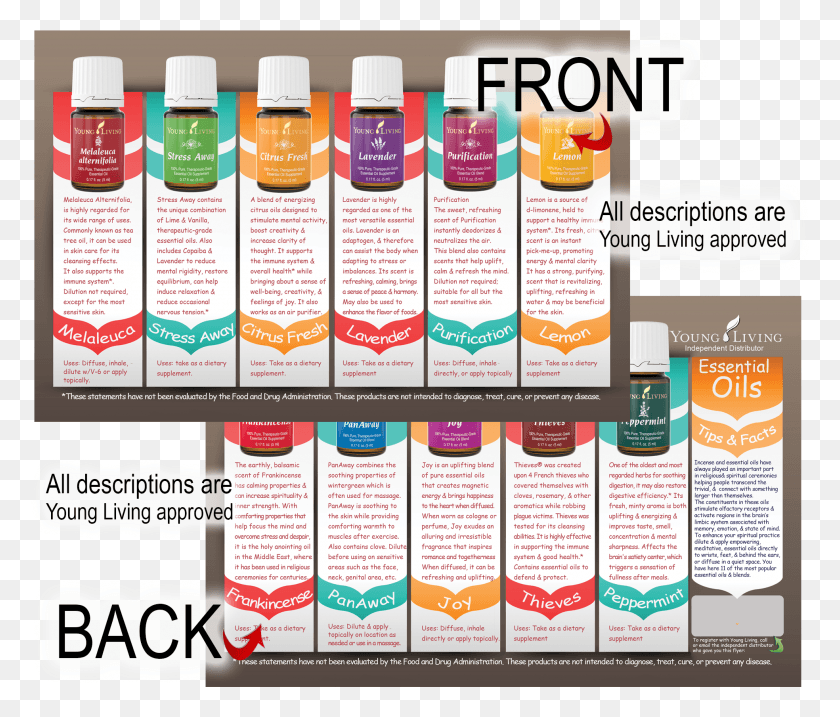 1968x1658 Essential Oils Marketing Material Flyers My Essentials, Text, Advertisement, Poster HD PNG Download