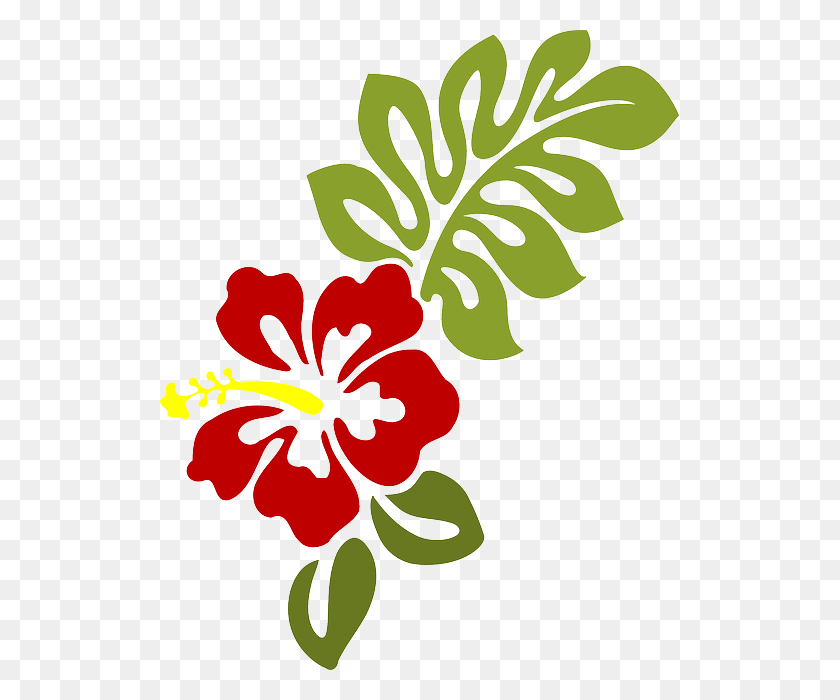 519x640 Estes S O Algum Hibiscus Clip Art, Plant, Flower, Blossom HD PNG Download