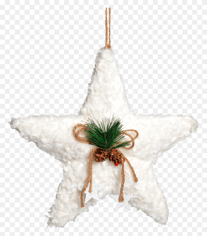 921x1058 Estrella Blanca Con Adorno De Pino Star Show Background, Ornament, Star Symbol, Symbol HD PNG Download
