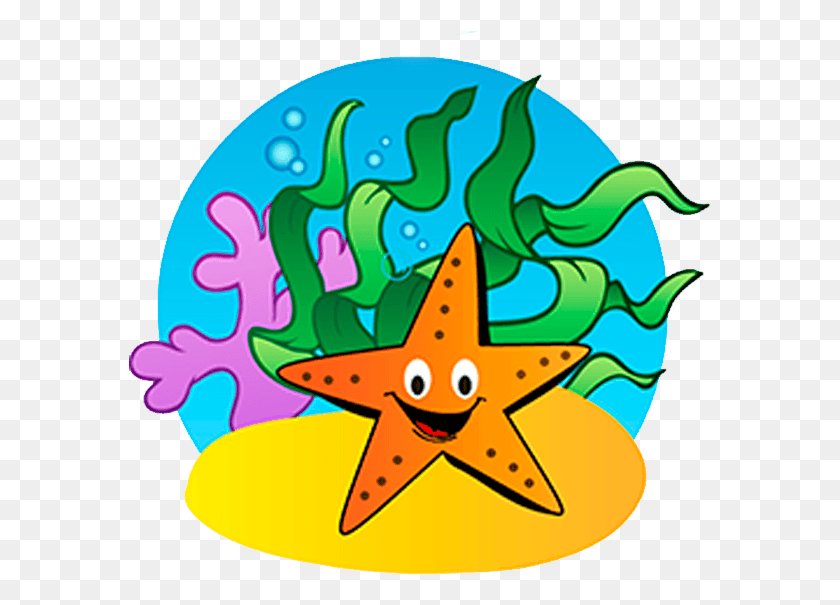 583x545 Estrella De Mar 1, Star Symbol, Symbol, Clothing HD PNG Download