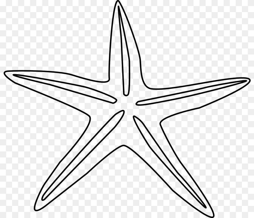 Estrella Fugaz, Animal, Sea Life, Bow, Weapon Transparent PNG