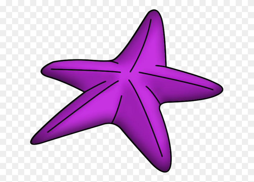 641x543 Estrellas De Mar Lila 48qi Starfish, Airplane, Aircraft, Vehicle HD PNG Download
