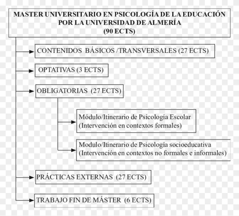 850x764 Estructura Del Master De Psicologa De La Educacin University Of Cartagena, Text, Word HD PNG Download