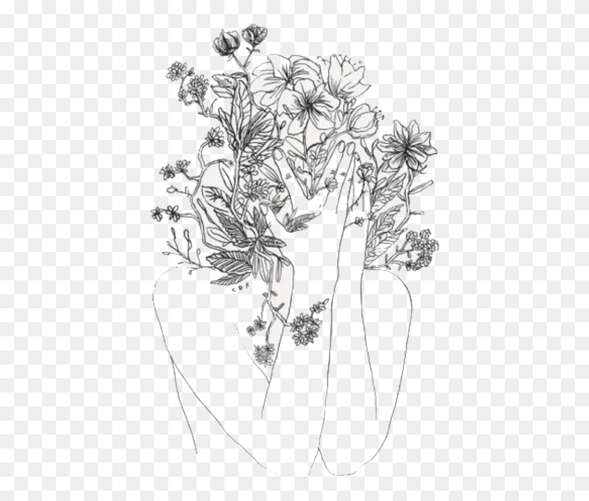 418x655 Etching Drawing Chrysanthemum Aesthetic Flower Simple Drawing, Graphics, Floral Design HD PNG Download