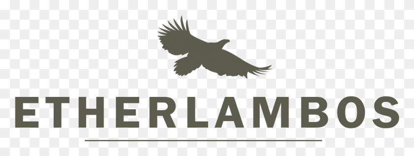 1237x408 Etherlambos Head Hawk, Logo, Symbol, Trademark HD PNG Download