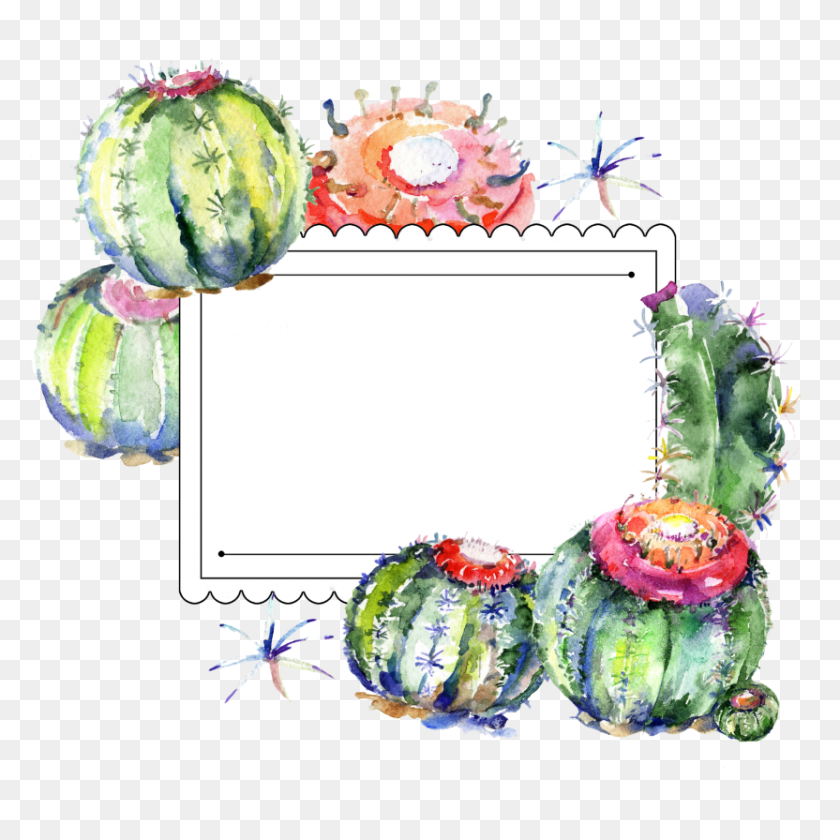 832x832 Etiqueta Sticker Cactus, Свадебный Торт, Торт, Десерт Hd Png Скачать