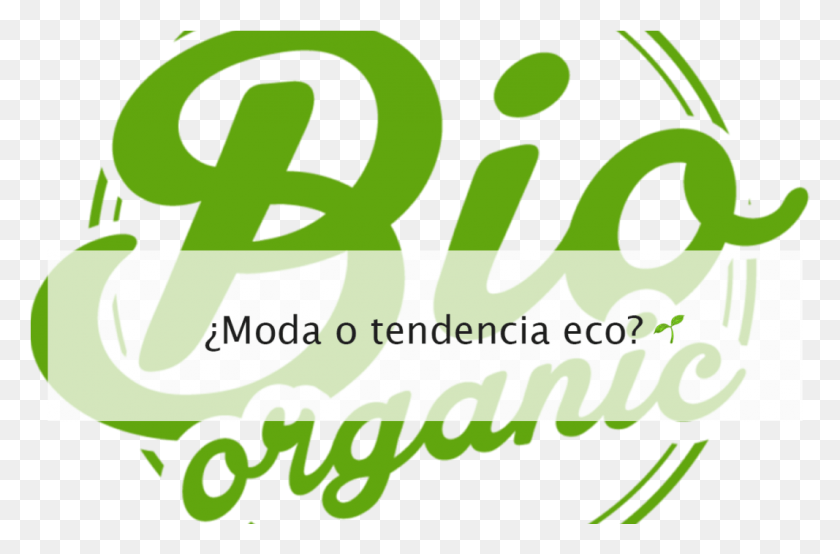 1067x676 Etiquetas Verdes Graphic Design, Text, Word, Label HD PNG Download