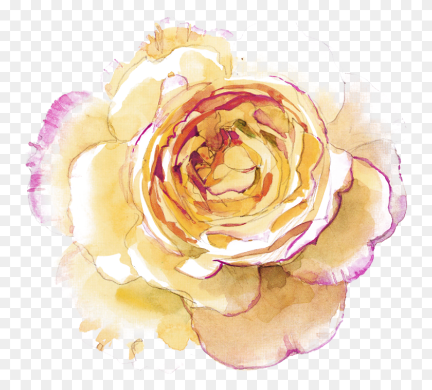 746x700 Etrea Dekokissen Kissenhlle Fresko Blume Cm, Rose, Flower, Plant HD PNG Download