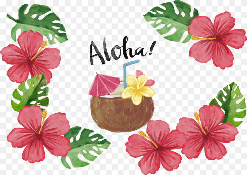 3348x2376 Euclidean Red Tropical Flower Poster Transprent Tropical Flowers Transparent, Plant, Hibiscus, Petal Clipart PNG