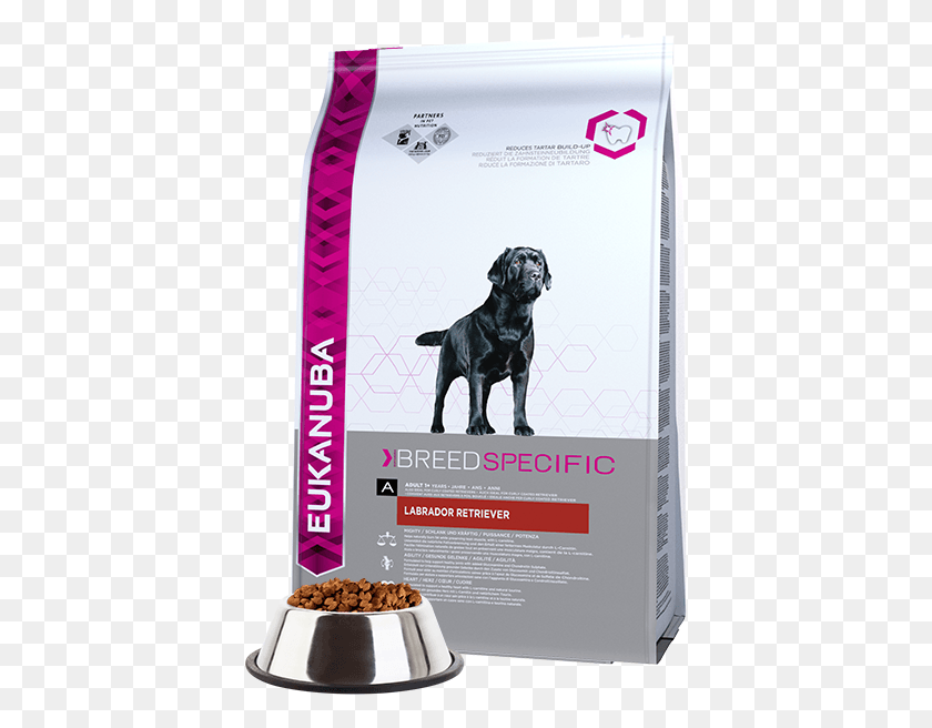 399x596 Eukanuba Adult Dry Dog Food For Labrador Retriever Alimento Para Perro Labrador, Dog, Pet, Canine Hd Png Download
